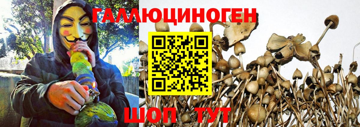 Псилоцибиновые грибы Magic Shrooms  Галлюциногенные грибы мицелий  Вход с VPN  Мелеуз 